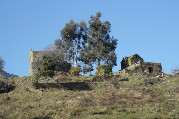 Photo Cervione - "Les maisons aux orangiers" (1)