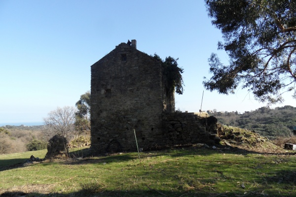 Photo Cervione - "Les maisons aux orangiers" (3)