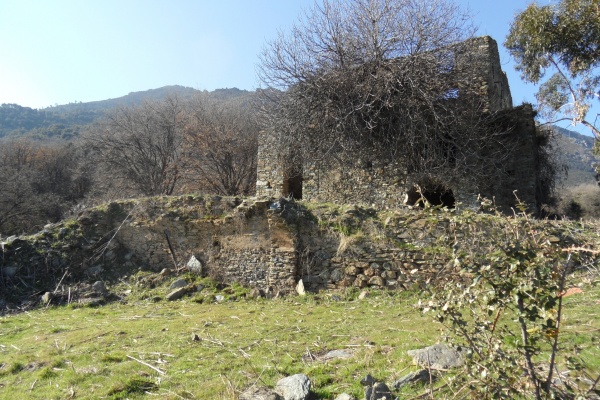 Photo Cervione - "Les maisons aux orangiers" (4)