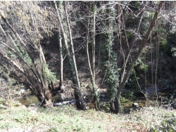 Photo paysage et monuments, Cervione - Voici, le petit ruisseau se jette dans la rivière...