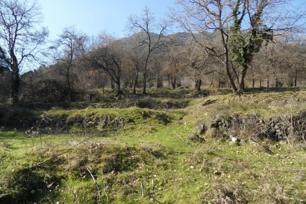 Photo Cervione - Les terasses de hameau abandonné (1)