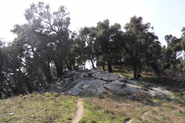 Photo Cervione - Pris de vu sur le sentier vers Sambuccu - point de dèpart du D51 (2)