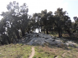 Photo paysage et monuments, Cervione - Pris de vu sur le sentier vers Sambuccu - point de dèpart du D51 (2)