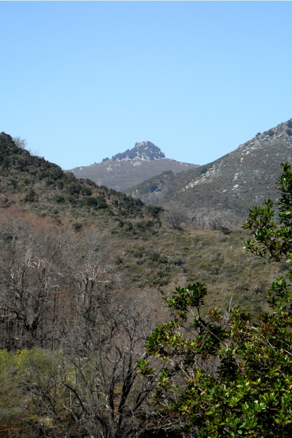 Photo Cervione - Pris de vu sur le sentier vers Sambuccu - point de dèpart du D51 (3)