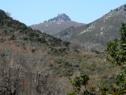 Photo paysage et monuments, Cervione - Pris de vu sur le sentier vers Sambuccu - point de dèpart du D51 (3)