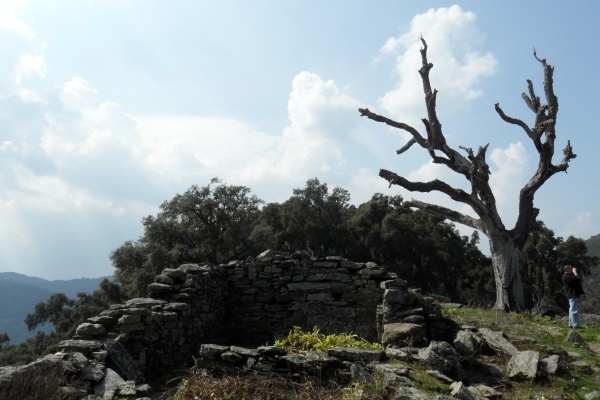 Photo Cervione - Des ruines vus sur le sentier vers Sambuccu - point de dèpart du D51 (2)