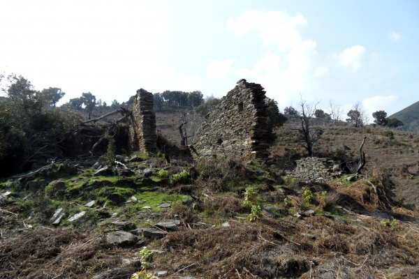 Photo Cervione - Des ruines vus sur le sentier vers Sambuccu - point de dèpart du D51 (3)