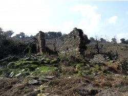 Photo paysage et monuments, Cervione - Des ruines vus sur le sentier vers Sambuccu - point de dèpart du D51 (3)