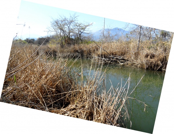 Photo Cervione - Fiume Prunellu dans les Dunnes de Prunete-Canniccia