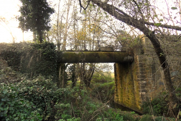 Photo Cervione - Les ruines d'un pont sur Fiume di Prunellu