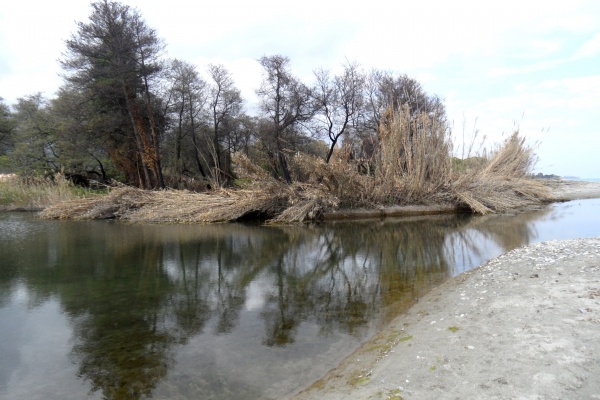 Photo Cervione - la rivière Petrignanu qui se jette dans la mer