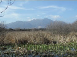 Photo paysage et monuments, Cervione - Cervione - le site NATURA 2000 - Dunes de Prunete-Caniccia(6)