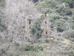 Photo paysage et monuments, Cervione - Les ruines de "la maison avec des cochons" (1)