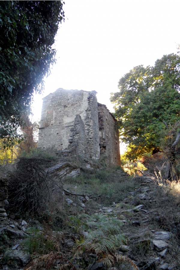 Photo Cervione - Les ruines de "la maison avec des cochons" (2)