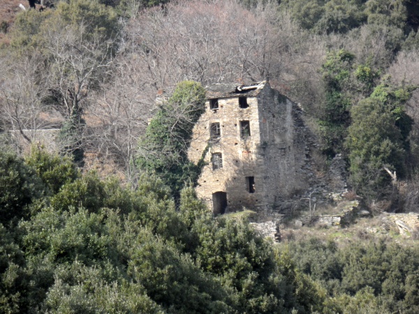 Photo Cervione - Les ruines de "la maison avec des cochons" (4)