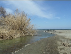 Photo paysage et monuments, Cervione - Cervione - le site NATURA 2000 - Dunes de Prunete-Caniccia(8)