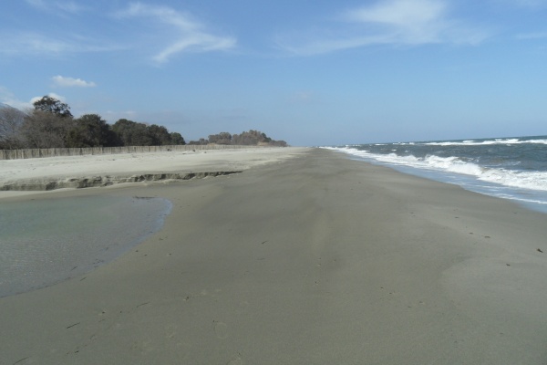 Photo Cervione - Cervione - le site NATURA 2000 - Dunes de Prunete-Caniccia(10)