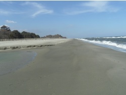 Photo paysage et monuments, Cervione - Cervione - le site NATURA 2000 - Dunes de Prunete-Caniccia(10)