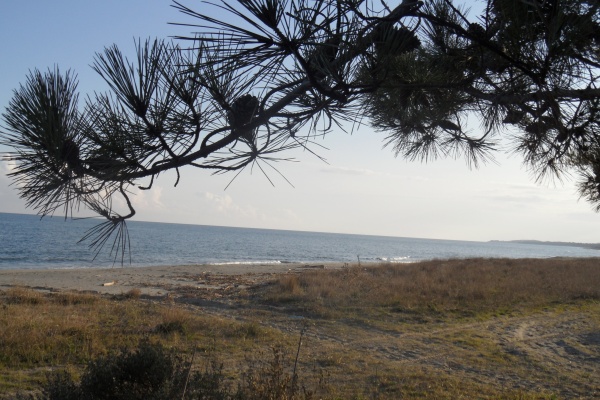 Photo Cervione - Cervione - La plage Fiorentine (1)