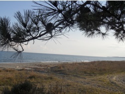 Photo paysage et monuments, Cervione - Cervione - La plage Fiorentine (1)