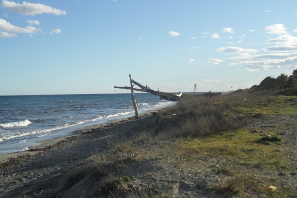 Photo Cervione - Cervione - La plage Fiorentine (3)