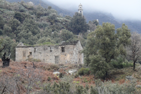 Photo Cervione - Cervione - les ruines d'une très ancienne eglise  vue de la D452(1)