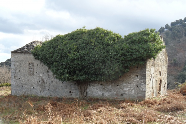 Photo Cervione - Cervione-une très ancienne eglise vue de le D452(2)