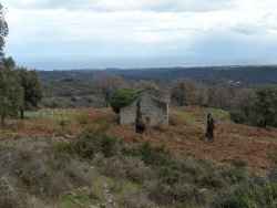 Photo paysage et monuments, Cervione - Cervione - les ruines d'une très ancienne eglise  vue de la D452(3)