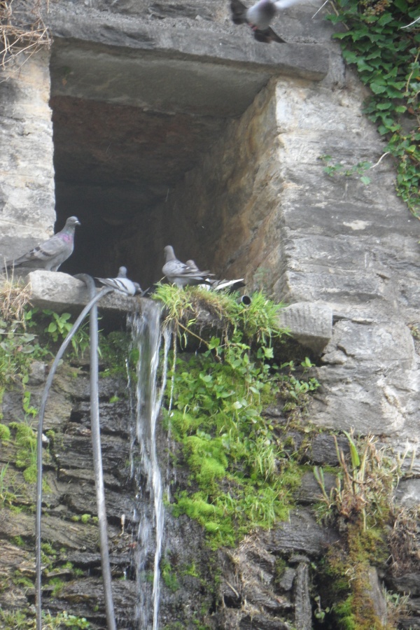 Photo Cervione - Cervione - Une chute d'eau sur la D71, le paradis de pigeons pendant l'été