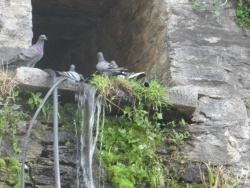 Photo paysage et monuments, Cervione - Cervione - Une chute d'eau sur la D71, le paradis de pigeons pendant l'été