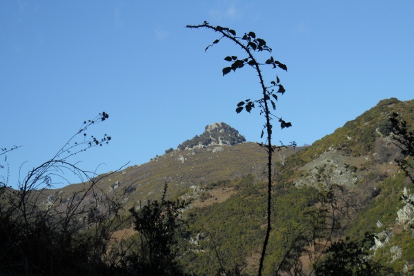 Photo Cervione - Cervione - Le sommet de Castelu d'Osari vu de le Sentier entre Cigliu et Scupiccia