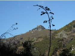 Photo paysage et monuments, Cervione - Cervione - Le sommet de Castelu d'Osari vu de le Sentier entre Cigliu et Scupiccia