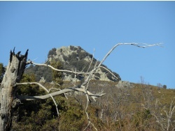 Photo paysage et monuments, Cervione - Cervione - Le sommet de Castelu d'Osari vu de le Sentier entre Cigliu et Scupiccia