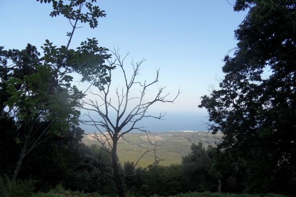 Photo Cervione - Cervione - Vue sur la pleine et le port de plaisance Taverna, de Santa Maria Poghju de le D25