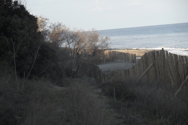 Photo Cervione - Les Dunes de Prunete-Canniccia du site "NATURA 2000"