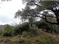 Photo paysage et monuments, Cervione - Les vestiges d'une deuxieme église au-dessus de la route départementale D452