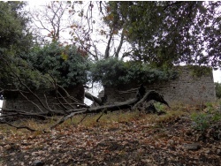 Photo paysage et monuments, Cervione - Les vestiges d'une deuxieme église au-dessus de la route départementale D452 (2)