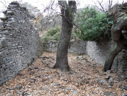 Photo paysage et monuments, Cervione - Les vestiges d'une deuxieme église au-dessus de la route départementale D452(1)