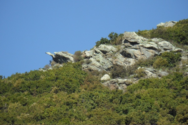 Photo Cervione - Des rochers avec des formes bizarres - Vu du D71