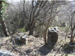 Photo paysage et monuments, Cervione - Des vestiges ...(1)