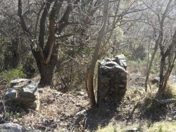 Photo paysage et monuments, Cervione - Des vestiges ...(2)