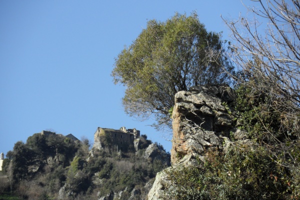 Photo Sant'Andréa-di-Cotone - Les ruines d'une maison du Cigliu - vu du D71