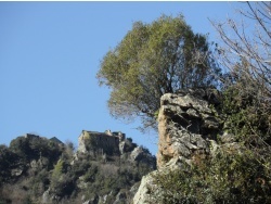 Photo paysage et monuments, Sant'Andréa-di-Cotone - Les ruines d'une maison du Cigliu - vu du D71