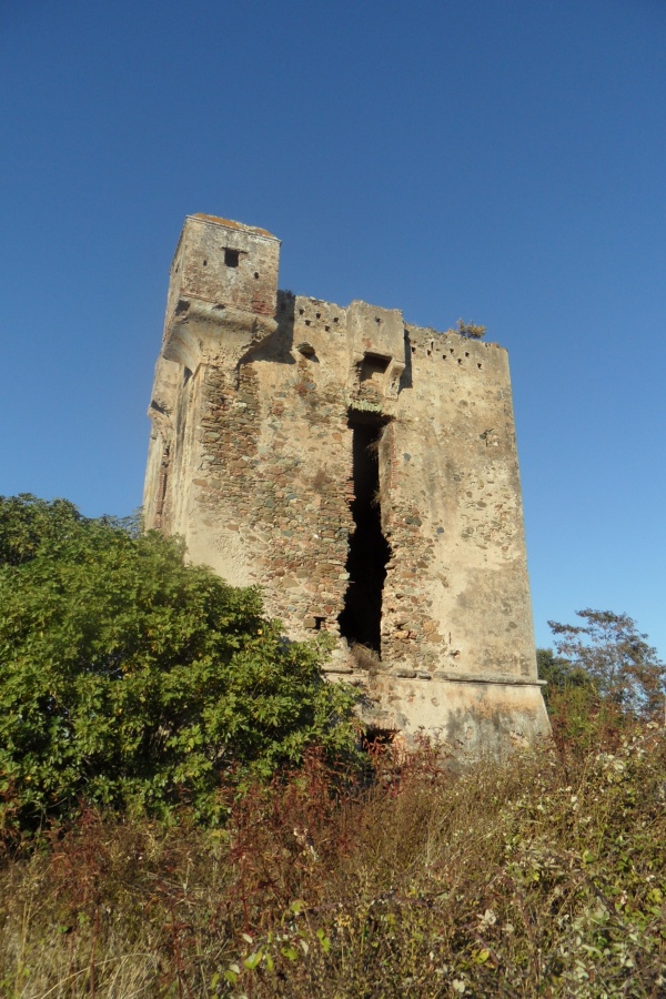 Photo San-Giuliano - La Tour Casella