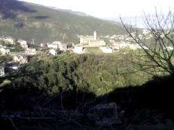 Photo paysage et monuments, San-Martino-di-Lota - San Martinu di Lota vu du route départementale qui monte de Bastia