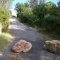 Photo Boisset-et-Gaujac - Chemin des Granaux