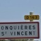 jonquieres saint vincent (30300)