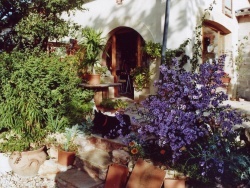 Photo vie locale, Méjannes-le-Clap - L'entrée de "l'atelier poterie du jardin fleuri", entourée de ses fleur -asters en automne.