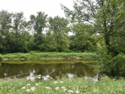 Photo paysage et monuments, Saint-Ambroix - la Rivière