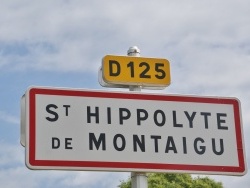 Photo paysage et monuments, Saint-Hippolyte-de-Montaigu - saint hippolyte de montaign (30700)